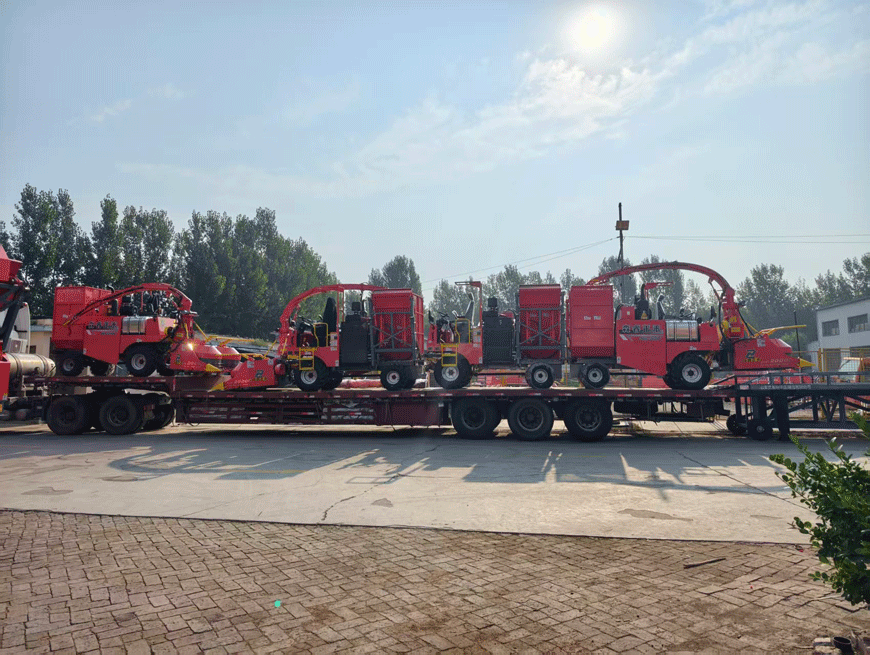 Pronto para Entrega: Colhedora de Forragem Senrui 4QZ-2000C Enviada Totalmente Montada—Aumentando a Eficiência para Fazendas Pecuárias!
