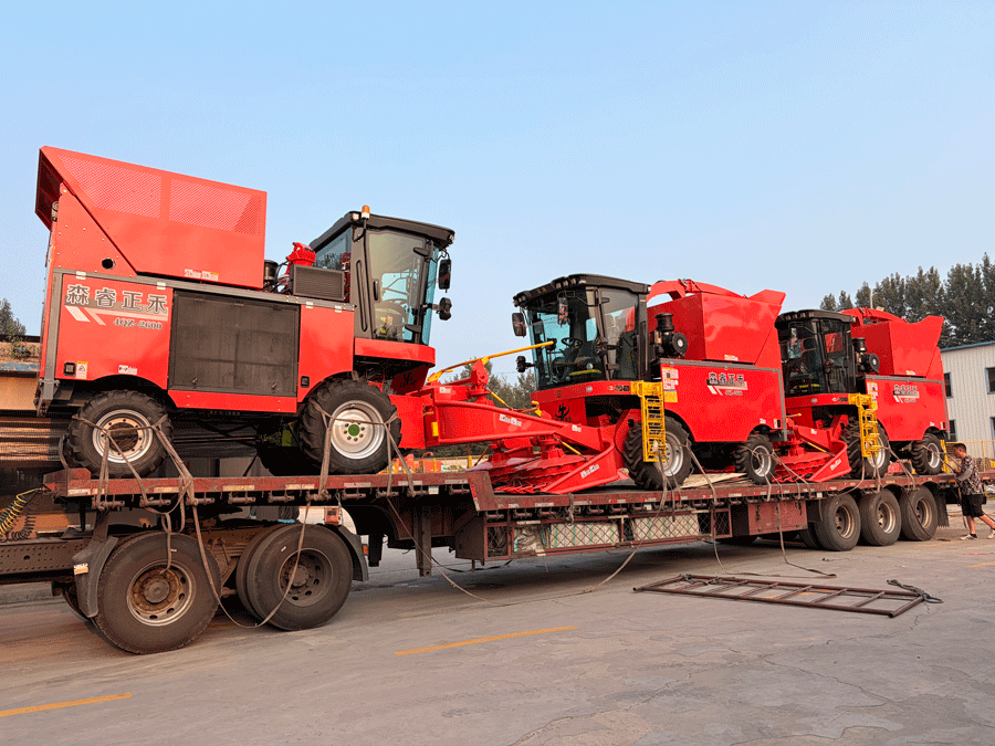Desempenho Comprovado! Ceifeiras de Silagem Senrui Carregadas para Embarque em Lote, Impulsionando a Produção Agrícola e Pecuária Eficiente